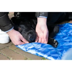 Coolpets Premium Koelmat M 9 Coolpets Premium Koelmat M -Honden Benodigdheden 1002984 4
