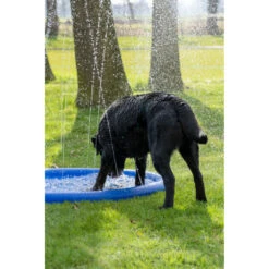 Coolpets Splash Pool Sproeier -Honden Benodigdheden 1002988 4