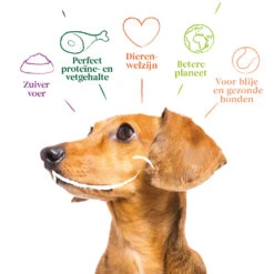 4x Yarrah Bio Hondenvoer Multipack Paté Graanvrij Kip - Kalkoen 9 4x Yarrah Bio Hondenvoer Multipack Paté Graanvrij Kip - Kalkoen -Honden Benodigdheden 1003007 4