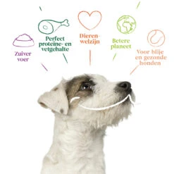 4x Yarrah Bio Hondenvoer Multipack Paté Graanvrij Rund - Kip 9 4x Yarrah Bio Hondenvoer Multipack Paté Graanvrij Rund - Kip -Honden Benodigdheden 1003009 4