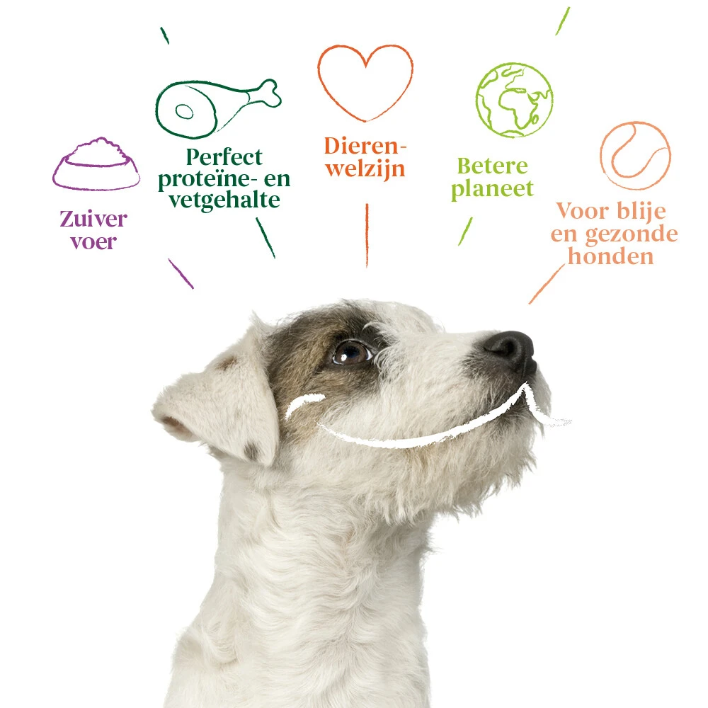 4x Yarrah Bio Hondenvoer Multipack Paté Graanvrij Rund - Kip 6 4x Yarrah Bio Hondenvoer Multipack Paté Graanvrij Rund - Kip - Afbeelding 4