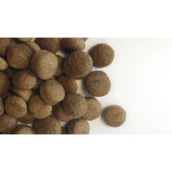 Content Hondenvoer Adult -Honden Benodigdheden 1005516 2