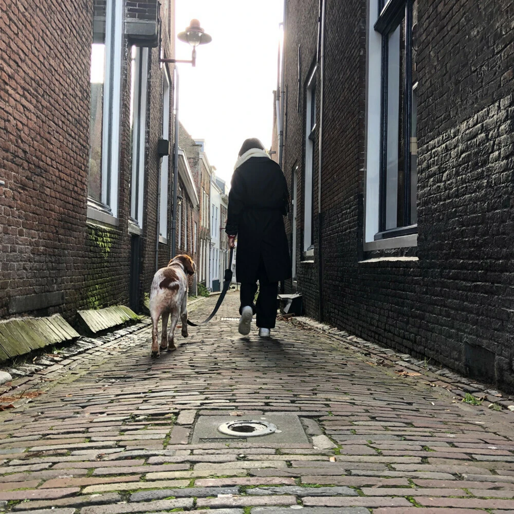 Trailstone Dog Leash 6 Trailstone Dog Leash - Afbeelding 4