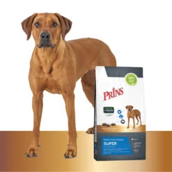 Honden Benodigdheden -Honden Benodigdheden 1016870 2