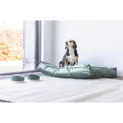 Designed By Lotte Ligkussen Fluweel Nalino Groen -Honden Benodigdheden 1017101 4