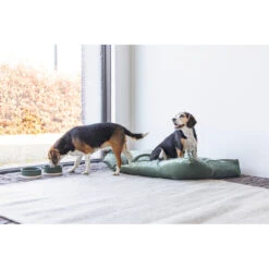 Designed By Lotte Ligkussen Fluweel Nalino Groen -Honden Benodigdheden 1017101 5