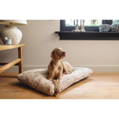 Designed By Lotte Hondenkussen Pluche Xanti Beige -Honden Benodigdheden 1017105 3