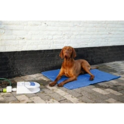 Beeztees Waterfontein Splashy 9 Beeztees Waterfontein Splashy -Honden Benodigdheden 1017124 4