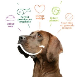 Yarrah Bio Hondenvoer Sensitive Adult Kip - Rijst -Honden Benodigdheden 1020191 4