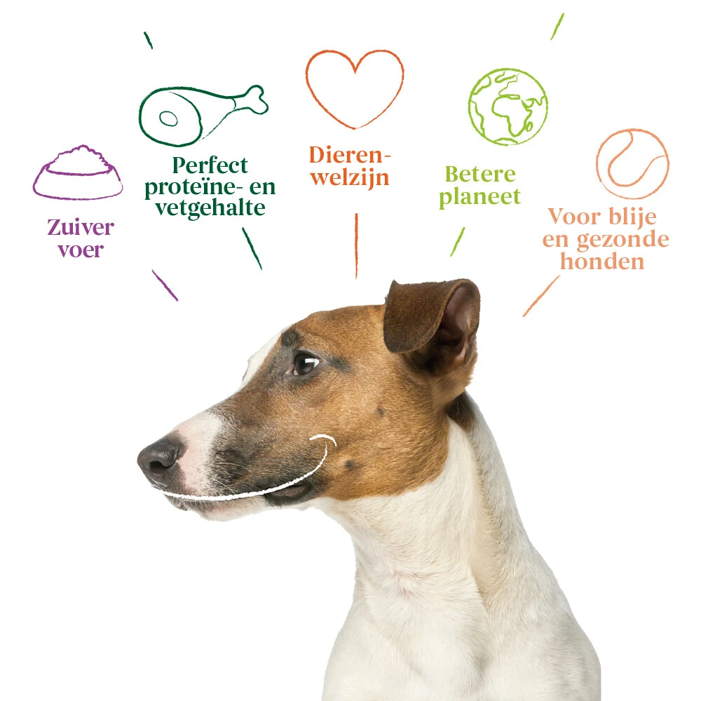 Yarrah Bio Hondenvoer Adult Small Breed Kip 6 Yarrah Bio Hondenvoer Adult Small Breed Kip - Afbeelding 4