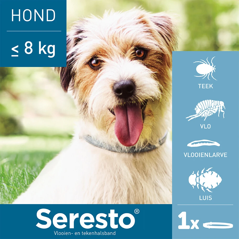 Seresto Anti Teken En Vlooien Halsband Hond Tot 8 Kg 4 Seresto Anti Teken En Vlooien Halsband Hond Tot 8 Kg - Afbeelding 2