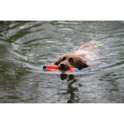 Chuckit! Chuckit Amphibious Bumper Medium -Honden Benodigdheden 1033076 3