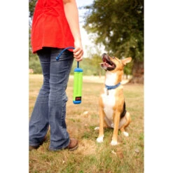 Chuckit! Chuckit Amphibious Bumper Medium -Honden Benodigdheden 1033076 4