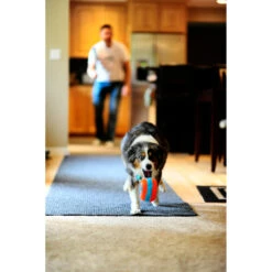 Chuckit! Chuckit Indoor Roller 8 Chuckit! Chuckit Indoor Roller -Honden Benodigdheden 1033094 3