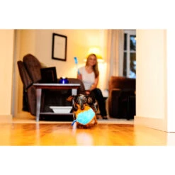 Chuckit! Chuckit Indoor Shaker 5 Chuckit! Chuckit Indoor Shaker -Honden Benodigdheden 1033095 2