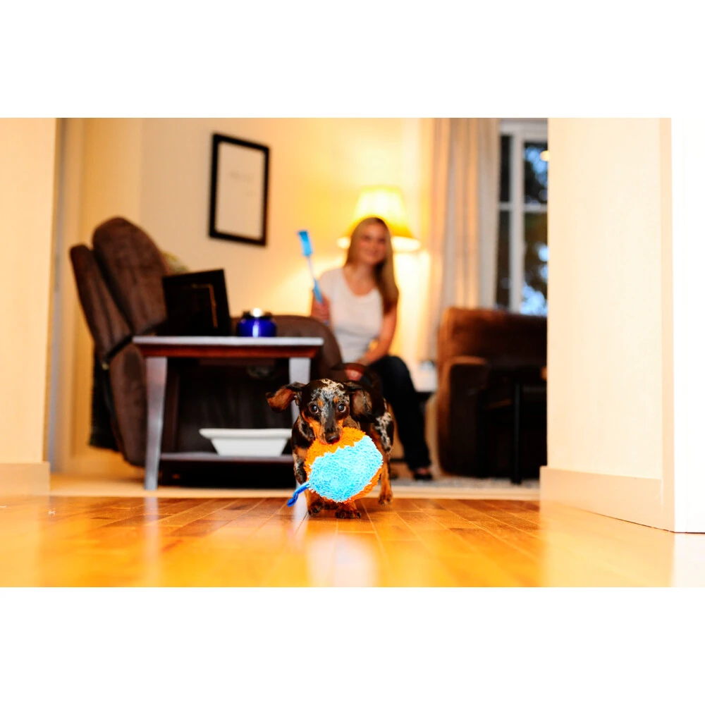 Chuckit! Chuckit Indoor Shaker 4 Chuckit! Chuckit Indoor Shaker - Afbeelding 2