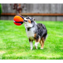 Chuckit! Chuckit Kick Fetch Small 9 Chuckit! Chuckit Kick Fetch Small -Honden Benodigdheden 1033097 4