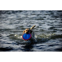 Chuckit! Chuckit Paraflight Large -Honden Benodigdheden 1033098 4