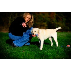 Chuckit! Chuckit Ultra Toss Medium -Honden Benodigdheden 1033117 4