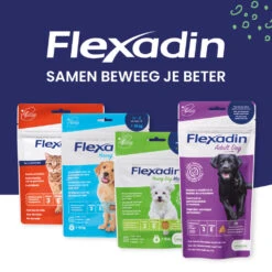 Flexadin Adult Dog Kauwbrokjes -Honden Benodigdheden 1054025 3