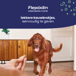 Flexadin Adult Dog Kauwbrokjes -Honden Benodigdheden 1054025 4