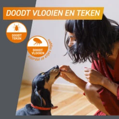 Frontpro Hond XL 25-50 Kg -Honden Benodigdheden 1057968 4