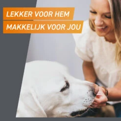 Frontpro Hond XL 25-50 Kg -Honden Benodigdheden 1057968 5