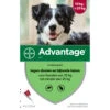 Advantage Anti Vlooiendruppels Hond 10 - 25 Kg -Honden Benodigdheden 701812