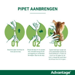 Advantage Anti Vlooiendruppels Hond 10 - 25 Kg -Honden Benodigdheden 701812 4