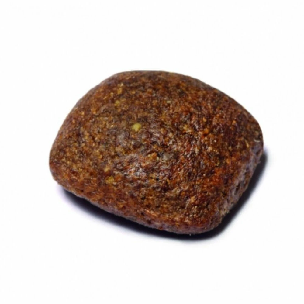 Prins ProCare Croque Basic Excellent Hondenvoer 4 Prins ProCare Croque Basic Excellent Hondenvoer - Afbeelding 2