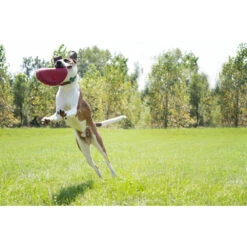 Kong Flyer Frisbee Rood -Honden Benodigdheden 703705 4