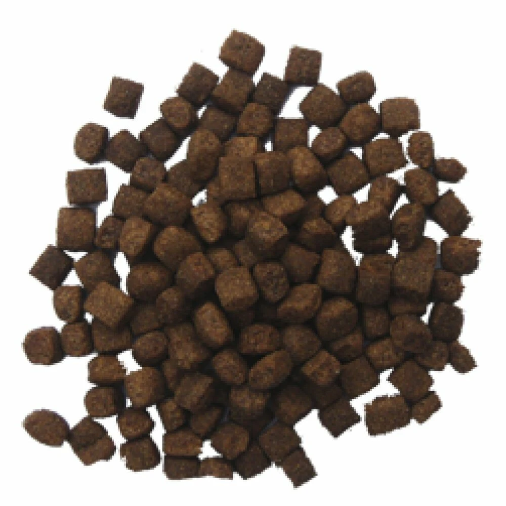 BF Petfood Lam En Rijst Hondenvoer 4 BF Petfood Lam En Rijst Hondenvoer - Afbeelding 2