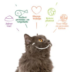 16x Yarrah Bio Kattenvoer Chunks Kip - Rund 9 16x Yarrah Bio Kattenvoer Chunks Kip - Rund -Honden Benodigdheden 704651 4