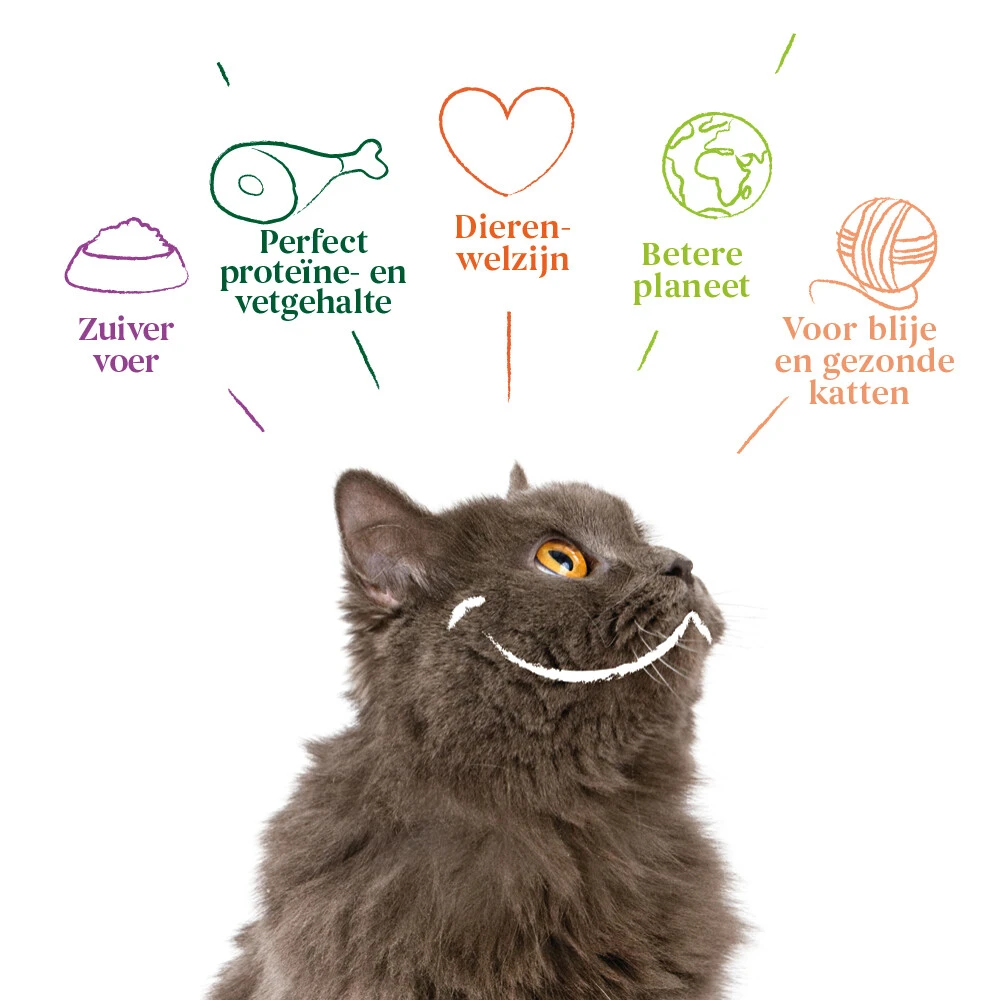 16x Yarrah Bio Kattenvoer Chunks Kip - Rund 6 16x Yarrah Bio Kattenvoer Chunks Kip - Rund - Afbeelding 4