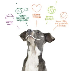 12x Yarrah Bio Hondenvoer Chunks Rund - Kip 9 12x Yarrah Bio Hondenvoer Chunks Rund - Kip -Honden Benodigdheden 704653 4