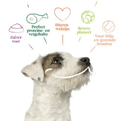 12x Yarrah Bio Hondenvoer Paté Rund - Kip -Honden Benodigdheden 704655 4