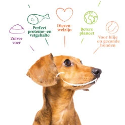 12x Yarrah Bio Hondenvoer Paté Kip - Kalkoen -Honden Benodigdheden 704656 4