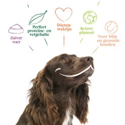 12x Yarrah Bio Chunks Vegetarisch -Honden Benodigdheden 704657 4