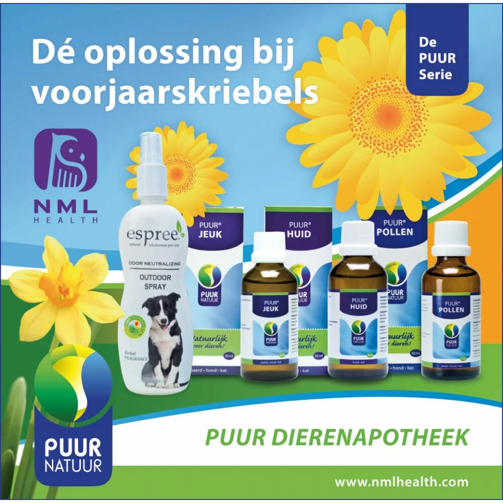 PUUR Derma 6 PUUR Derma - Afbeelding 4