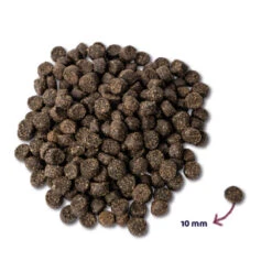 Honden Benodigdheden -Honden Benodigdheden 928447 2