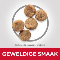 Hill's 6x Hillu0027s Science Plan Hondenvoer Mature Adult Small & Mini Kip 5 Hill's 6x Hillu0027s Science Plan Hondenvoer Mature Adult Small & Mini Kip -Honden Benodigdheden 965698 2