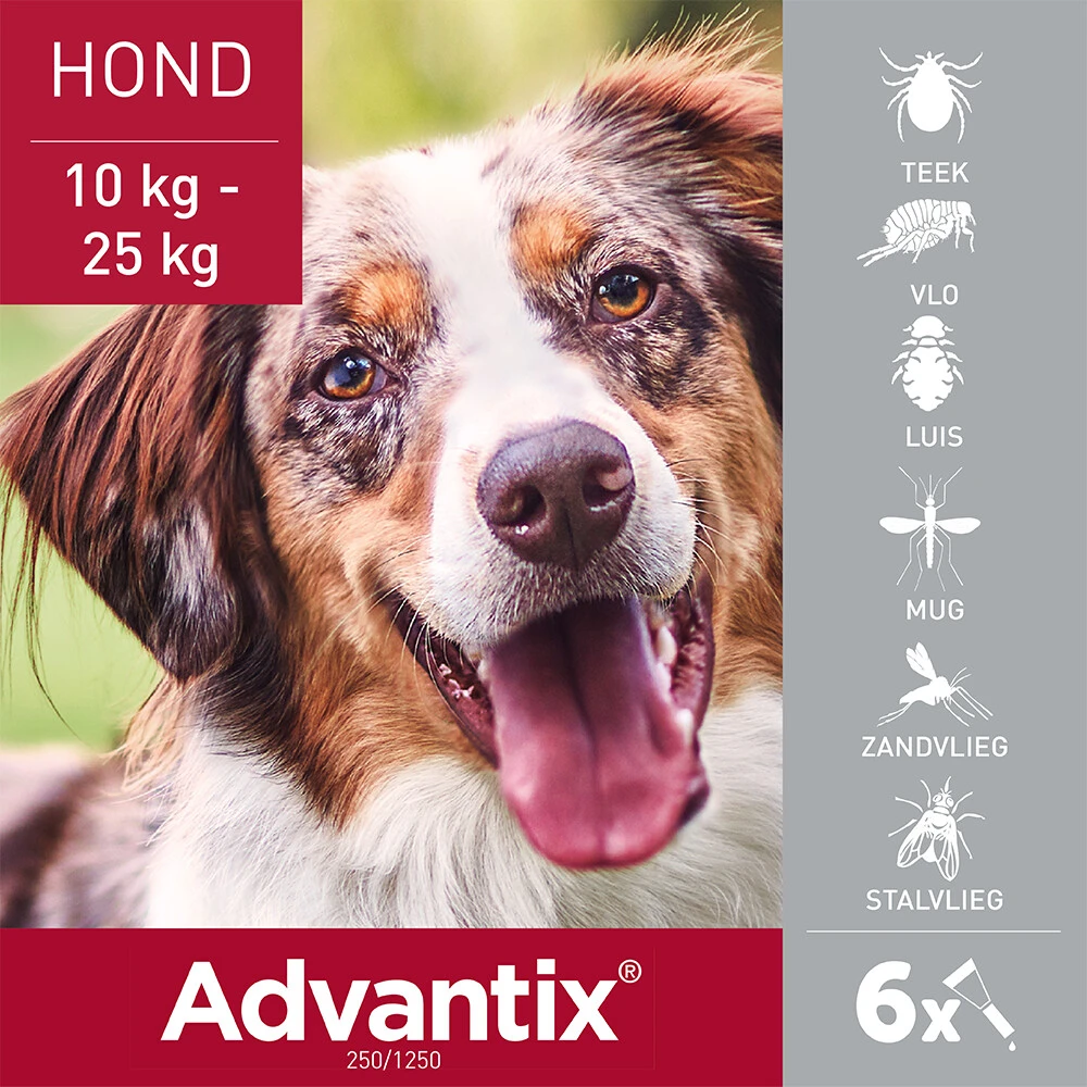 Advantix Spot On 250 Anti Vlooien En Teken Druppels Hond 10 - 25 Kg 4 Advantix Spot On 250 Anti Vlooien En Teken Druppels Hond 10 - 25 Kg - Afbeelding 2