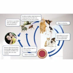 Beaphar Milquestra Ontworming Tabletten Hond 5-50kg -Honden Benodigdheden 975809 4