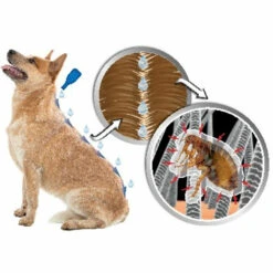 Beaphar DIMETHIcare Anti Vlooien En Teken Spray -Honden Benodigdheden 976013 3