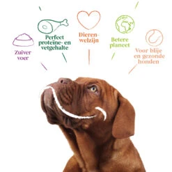 12x Yarrah Bio Hondenvoer Chunks Kip -Honden Benodigdheden 979324 4