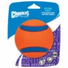 Chuckit! Chuckit Ultra Ball ø 10 Cm -Honden Benodigdheden 983528