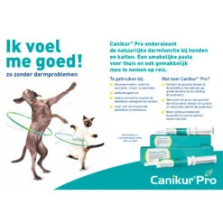 Boehringer Ingelheim Canikur Pro -Honden Benodigdheden 985670 2