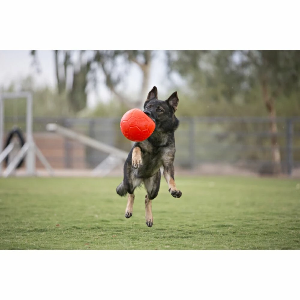 Jolly Pets Soccer Ball Oceaan Blauw ø 20 Cm 4 Jolly Pets Soccer Ball Oceaan Blauw ø 20 Cm - Afbeelding 2