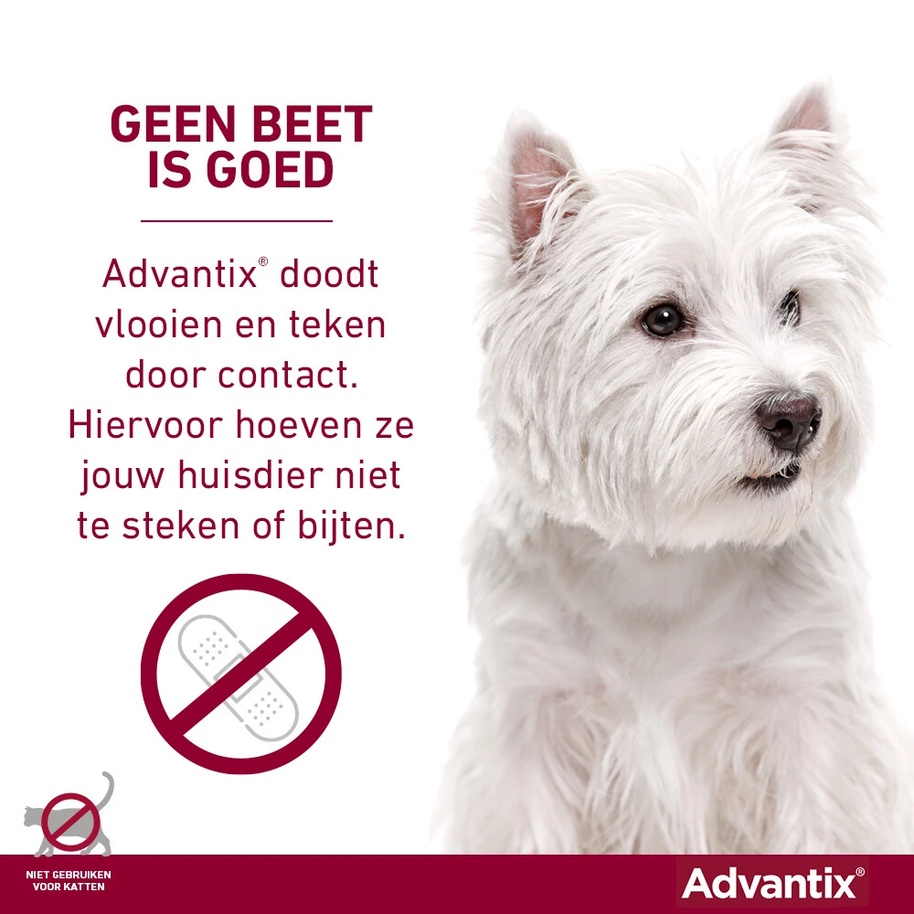 Advantix Spot On 100 Anti Vlooien En Teken Druppels Hond 4 - 10 Kg 5 Advantix Spot On 100 Anti Vlooien En Teken Druppels Hond 4 - 10 Kg - Afbeelding 4