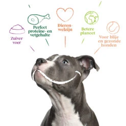 12x Yarrah Bio Hondenvoer Paté Varken -Honden Benodigdheden 992616 4